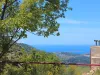Villa Dizayn